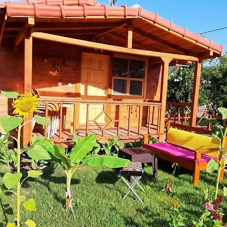 Adrasan Lilamor Ile Evinizin Konforunda Bir Tatil Hotel *